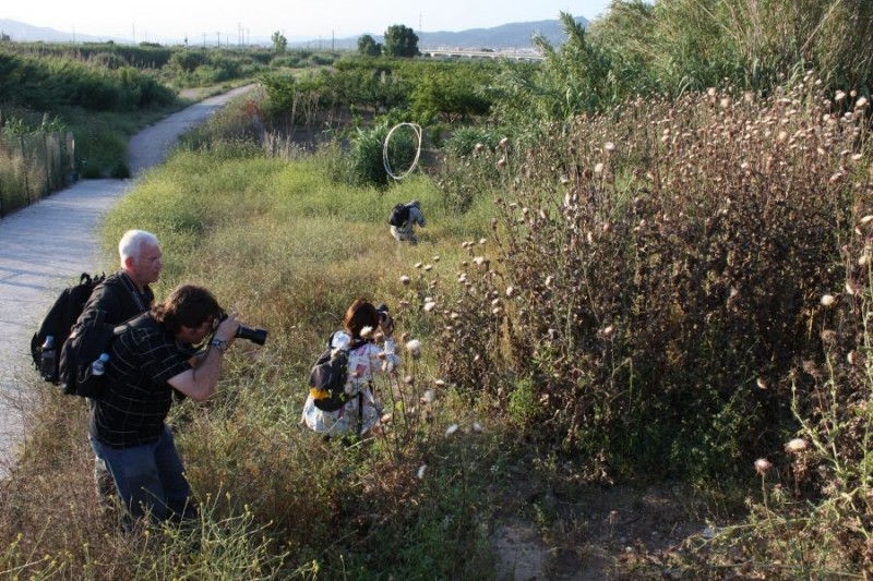 Foto de la Galeria